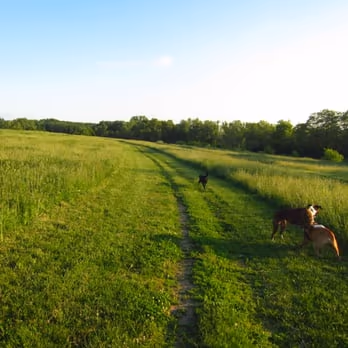 Dog Park at Sycamore Park photo 1